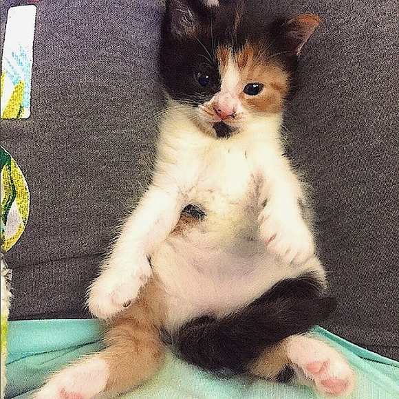 💕❤️JEWELRY Buy 2, Get 1 FREE❤️💕 - Picture 14 of 16